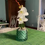 Bed & Breakfast La Magia Del Mare Sanremo